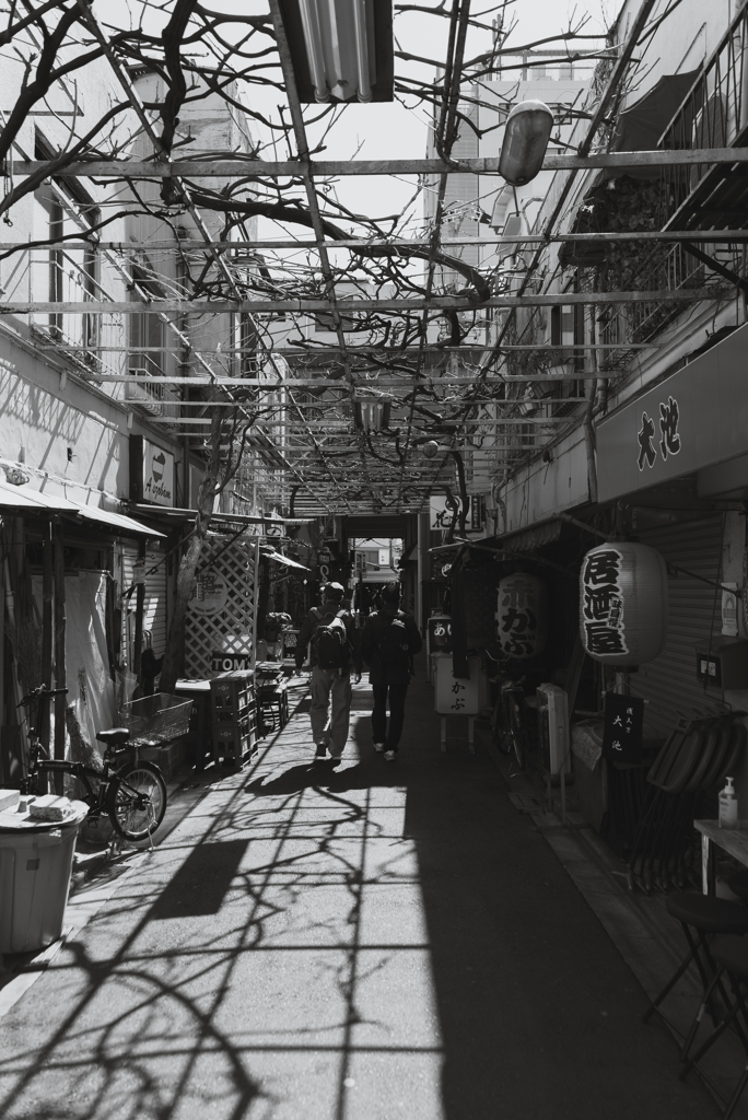昼間酒場空間