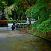 鑁阿寺2