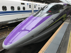 500 TYPE EVA