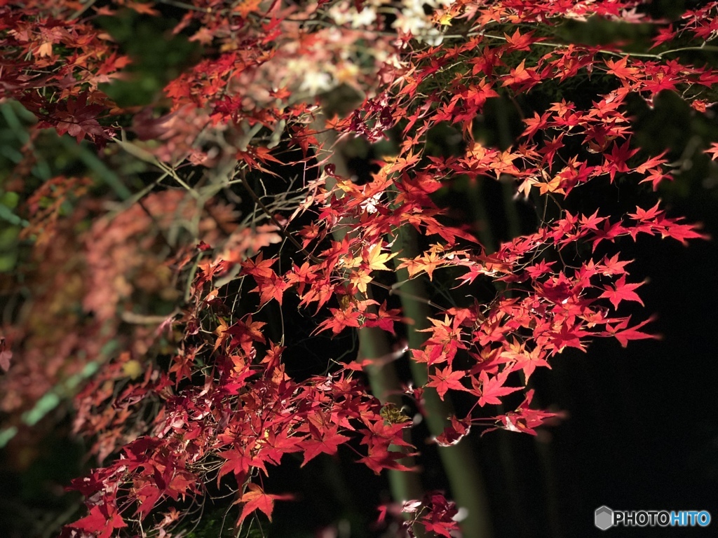 須磨離宮公園