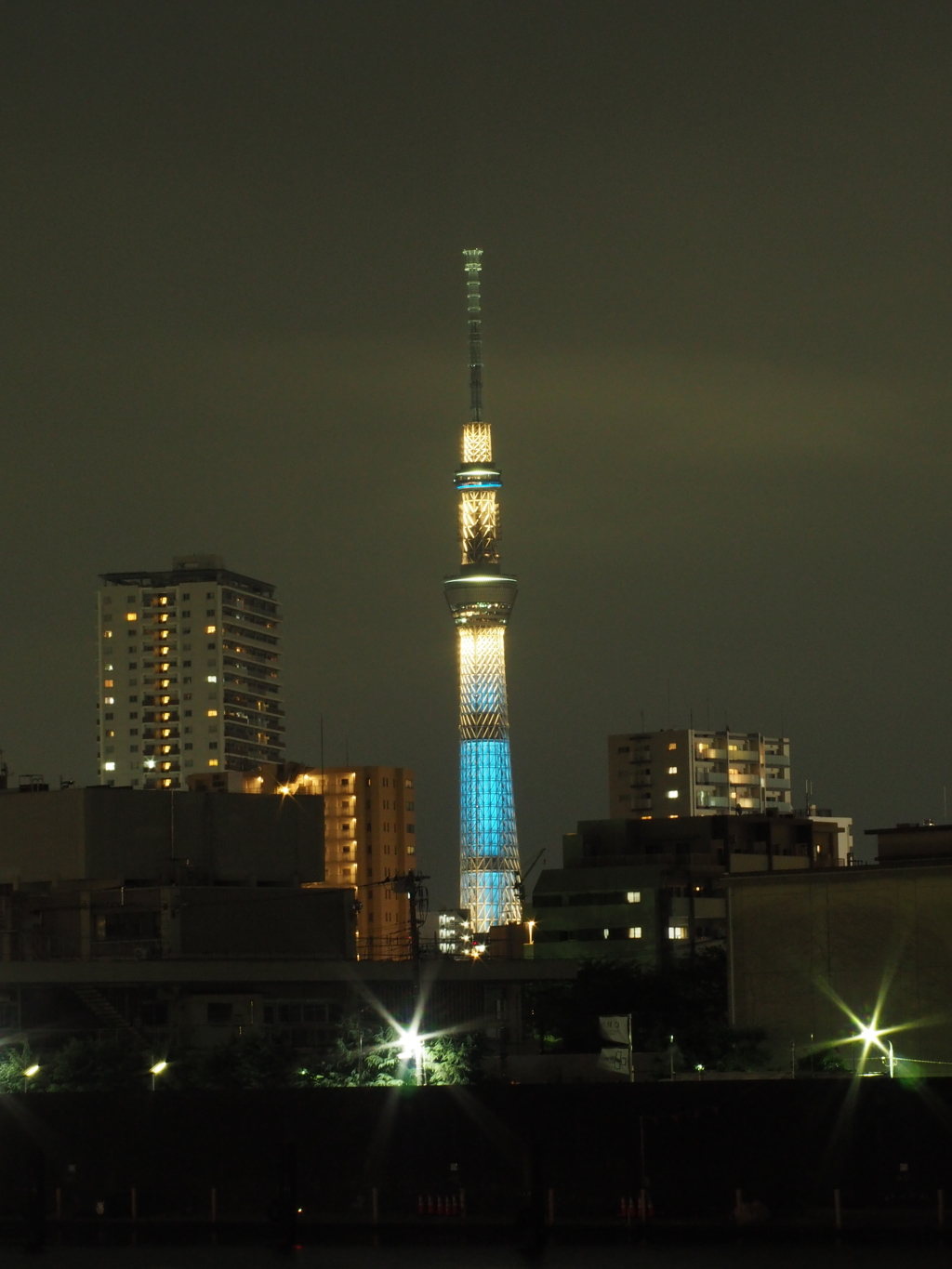 足立区から望むスカイツリー