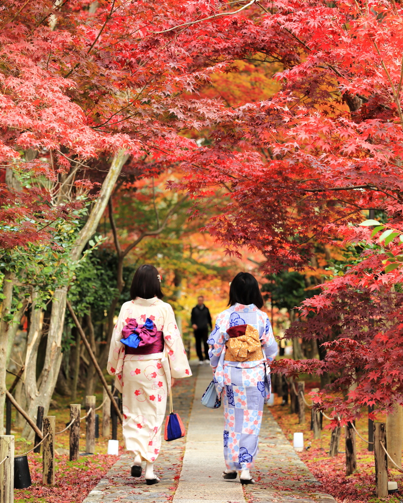 もみじのトンネル