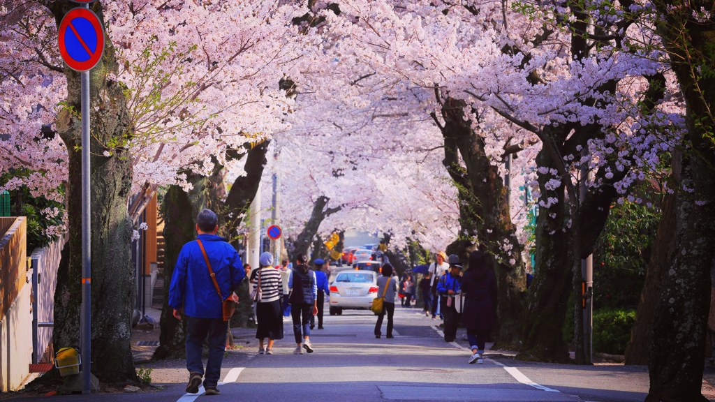 神戸市桜坂高尾通り