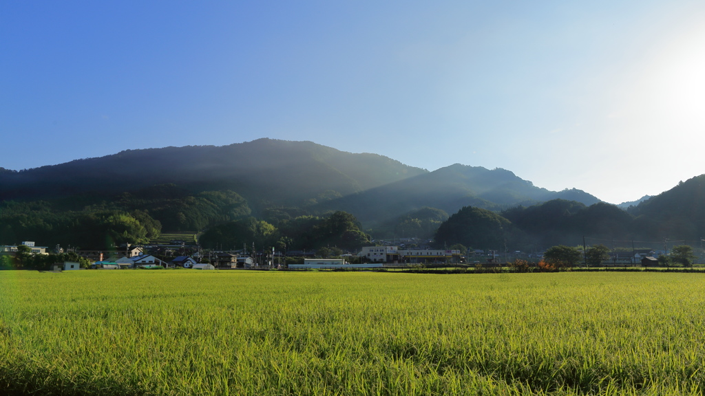 早朝