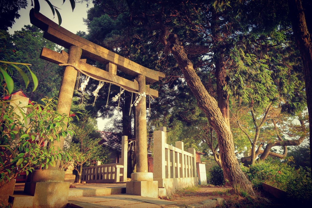 朝の神社