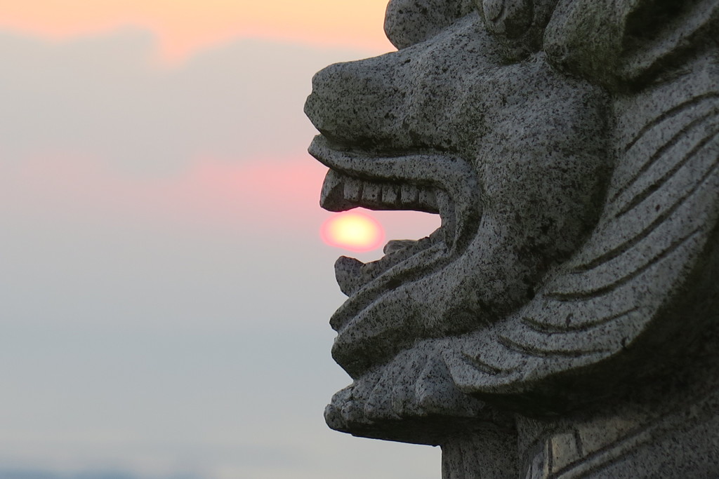 D86EE37B-6A32-4DA7-8089-4C5DDF086879朝日