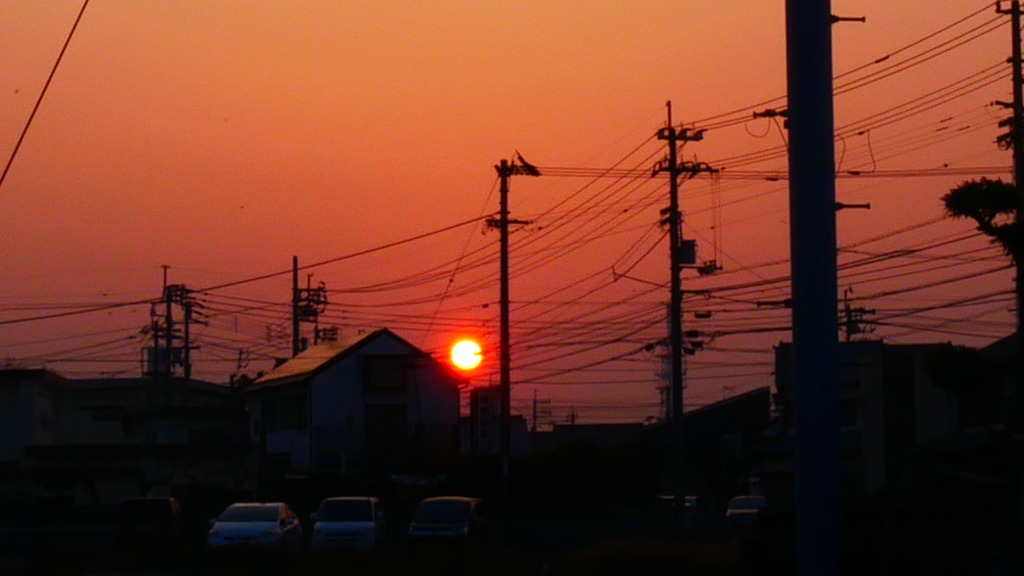 夕陽