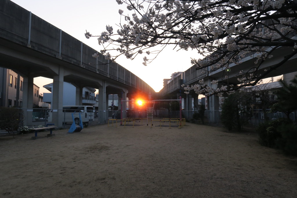 朝日