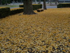 公園