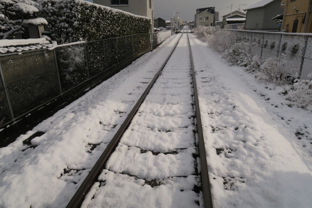 久しぶりの雪