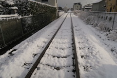 久しぶりの雪