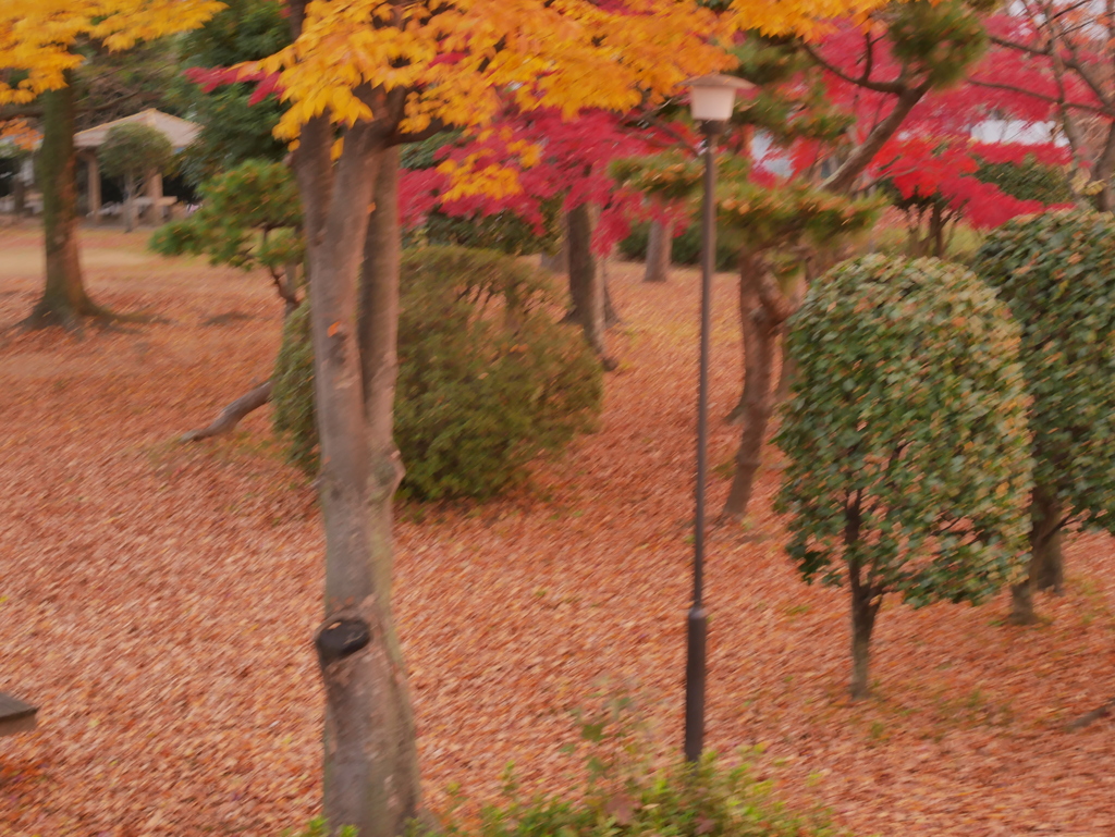 公園