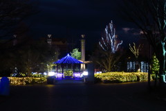 LED