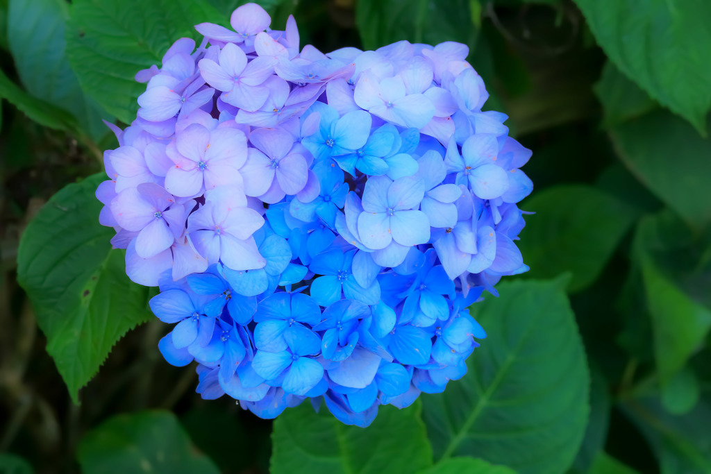 ♡に～   見えないかぁ～(#^.^#)