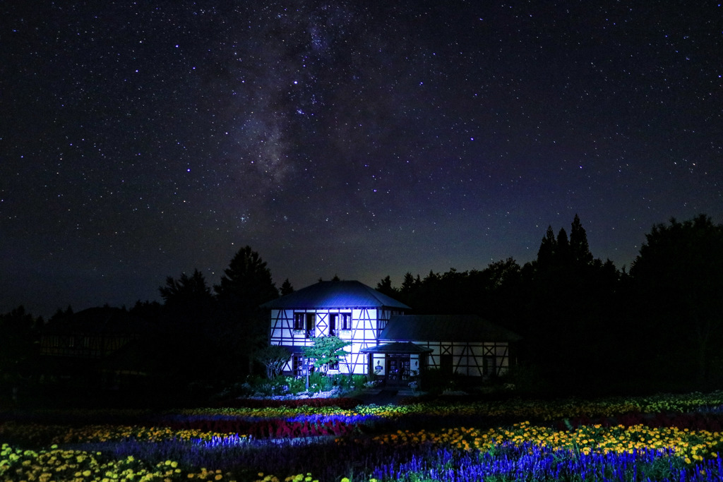 素敵な夜遊び