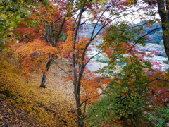 曽木の滝の紅葉