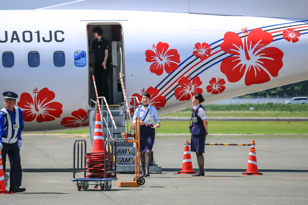 熊本空港にハイビスカス