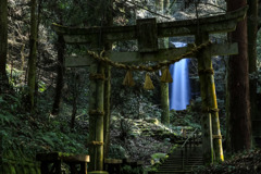 鳥居からの滝