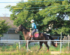 乗馬