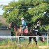 乗馬