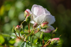 まだまだこれから(*ˊ˘ˋ*)