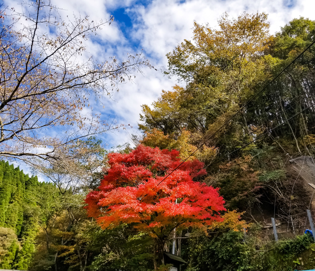 素敵なお出迎え(#^.^#)