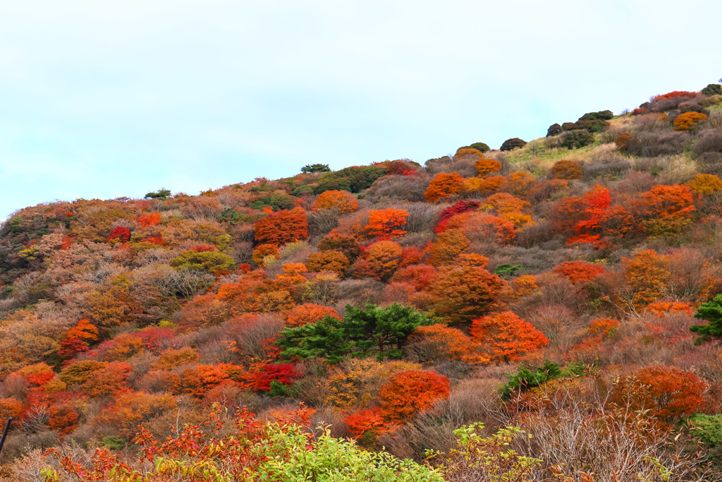 牧ノ戸峠