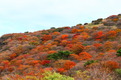 牧ノ戸峠