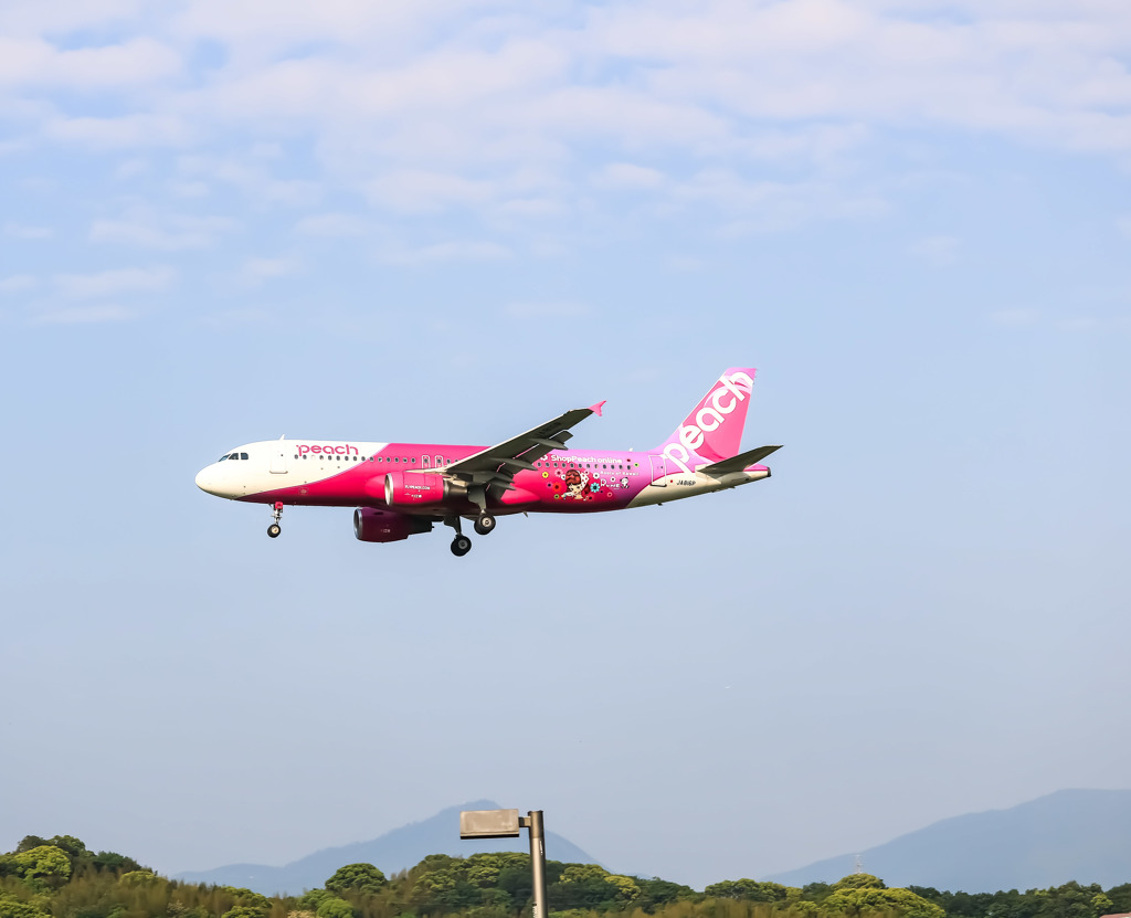 華やかなpeach✈