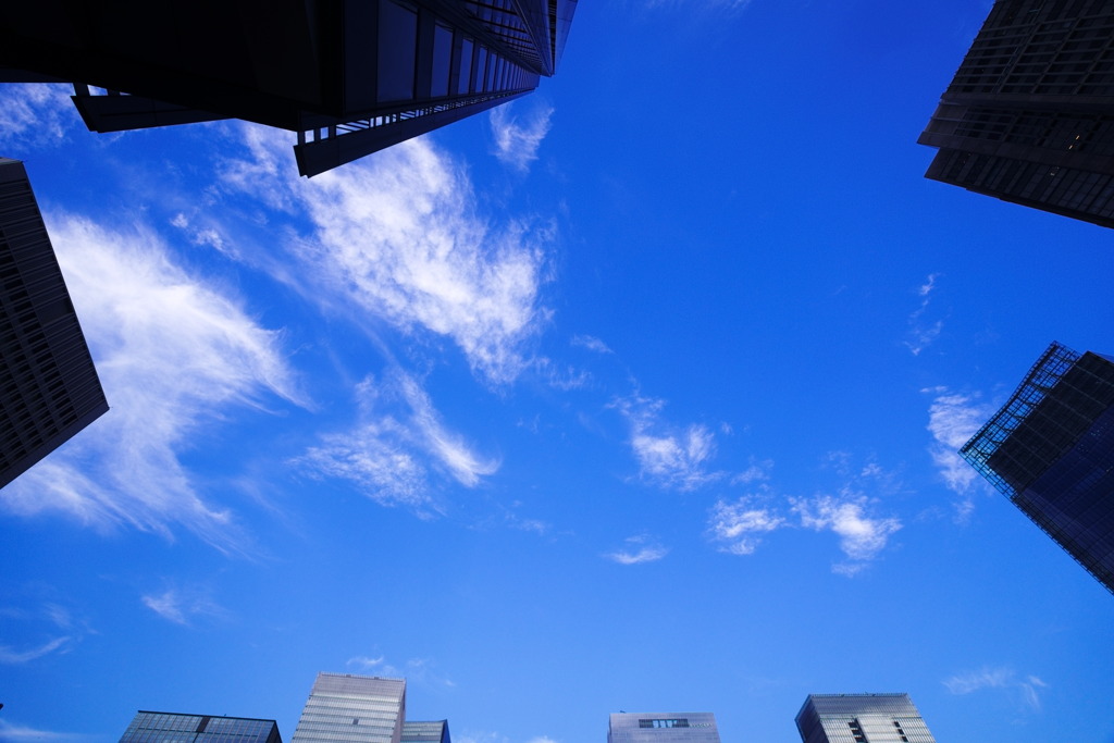 東京丸の内から見える空