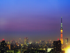 東京スカイツリーの夕暮れ（船堀）