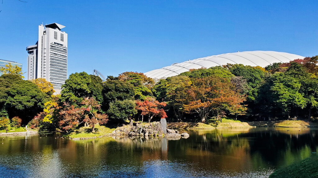 秋晴れ、小石川後楽園