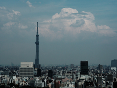 東京スカイツリーｘ夏雲