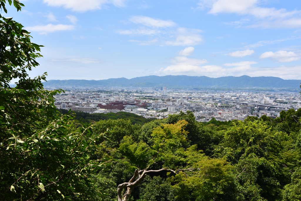 伏見稲荷大社　-京都一望-