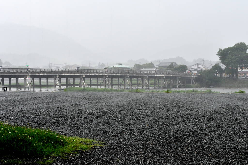 雨の渡月橋