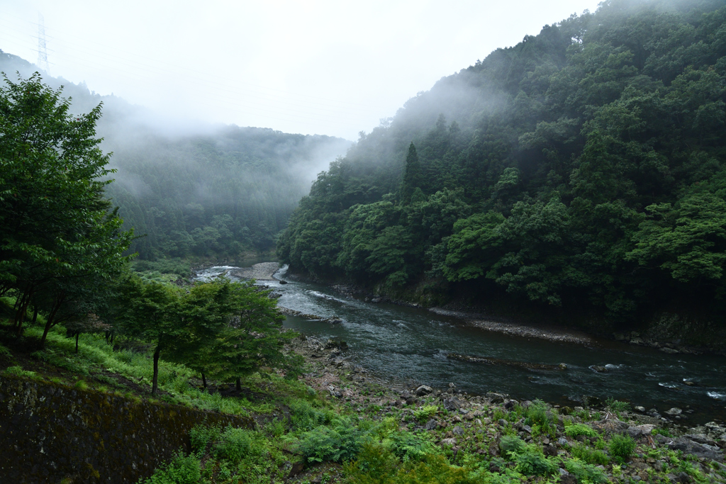 嵯峨野トロッコ-景色2-