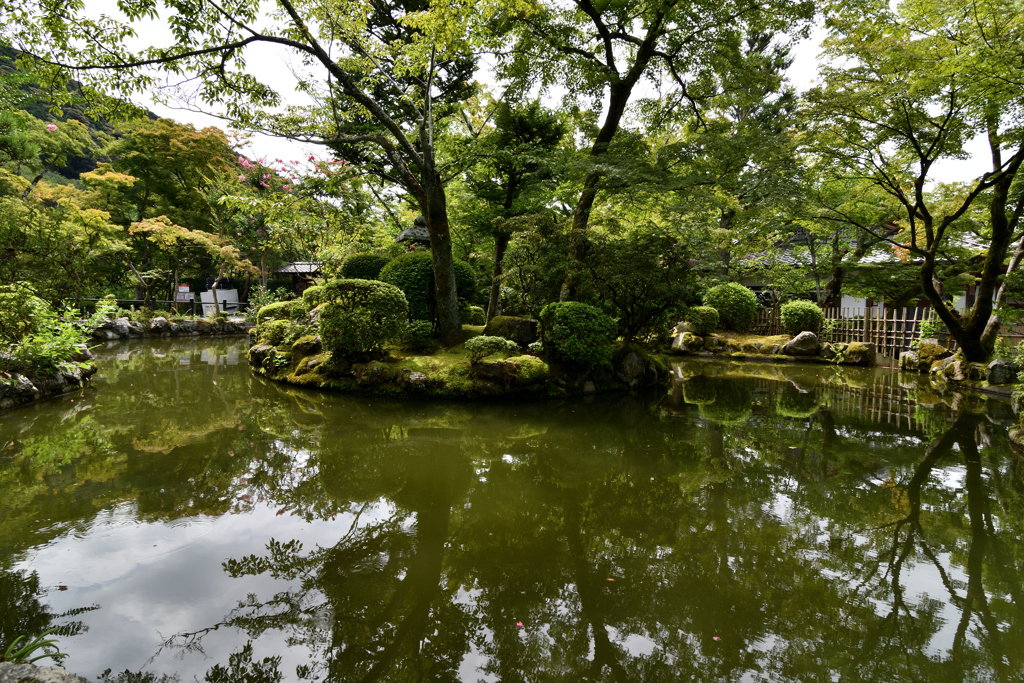 清水寺-庭-