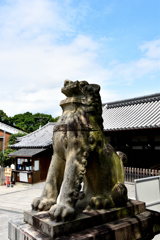 清水寺-狛犬-