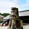 清水寺-狛犬-