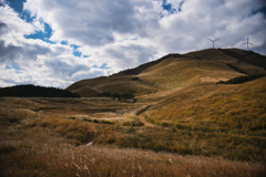 2025 稲取細野高原　すすき　其の弐