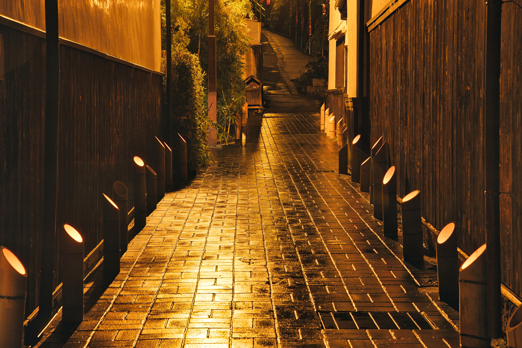 2025　憧憬の路　其の２