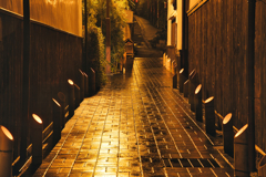 2025　憧憬の路　其の２