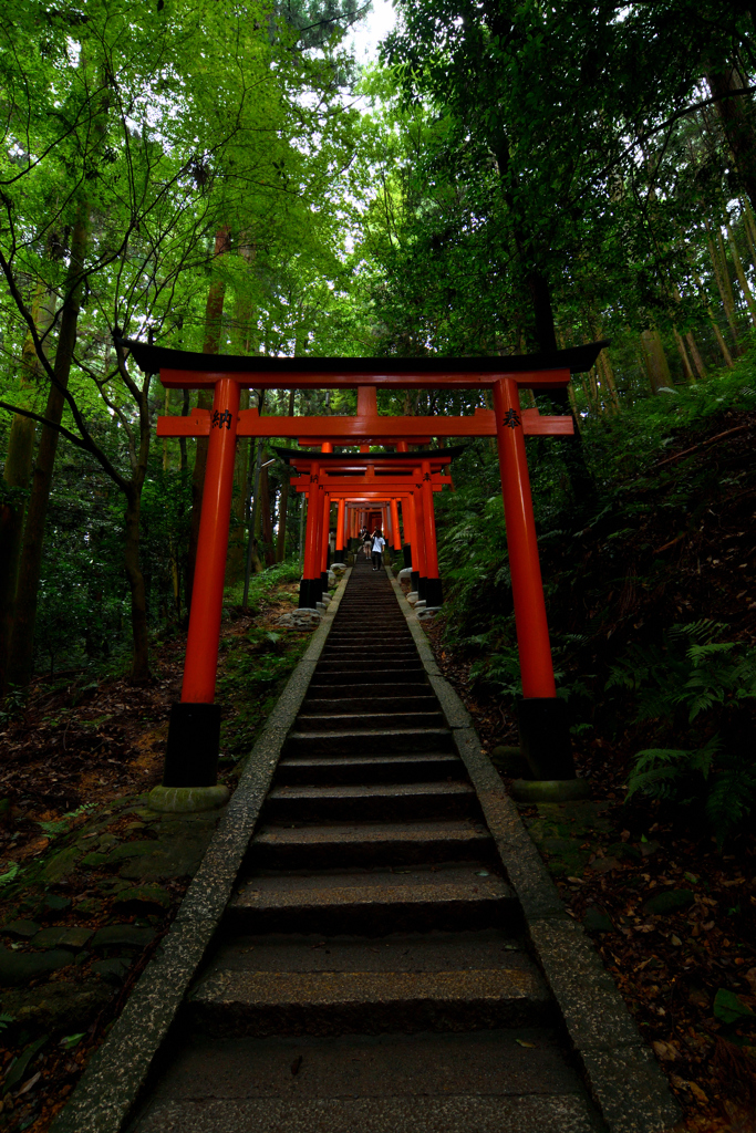 伏見稲荷大社-千本鳥居6-　－石階段と紅い門-