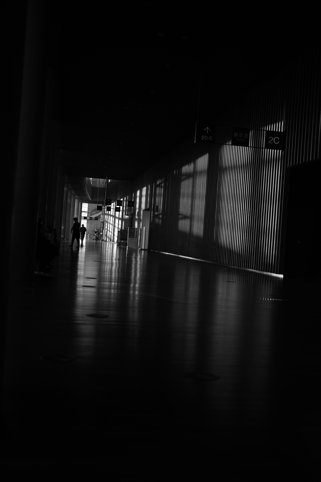 DSC_0829