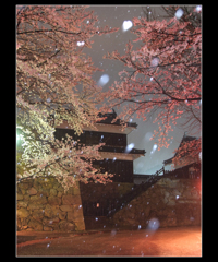 雪花の上田城