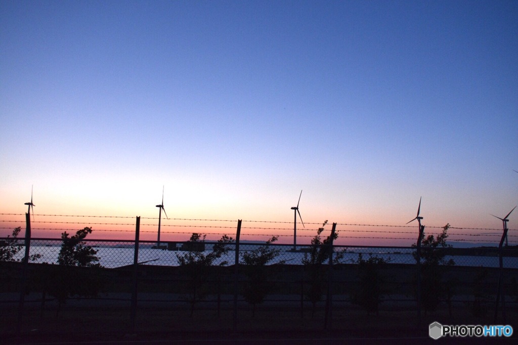 風車の並ぶ夕景