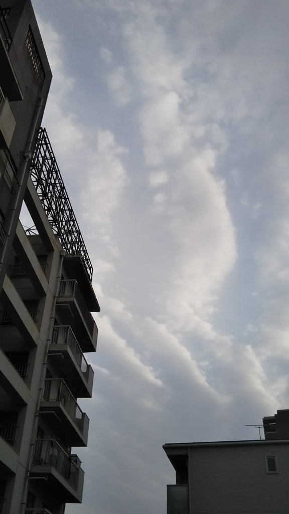 空の爪