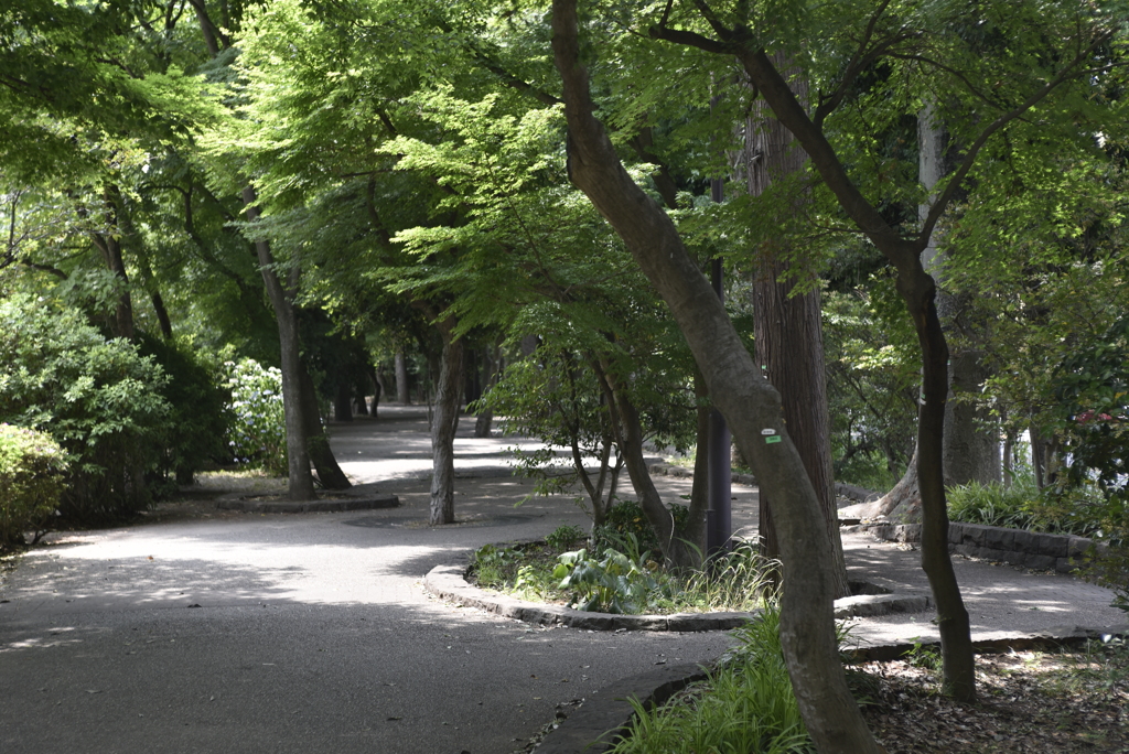 歩道