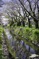 水に映して