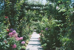 秘密の花園